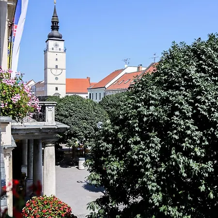 Wetzlerov Dom Daire *