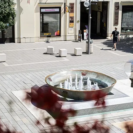 아파트 Wetzlerov Dom 트르나바