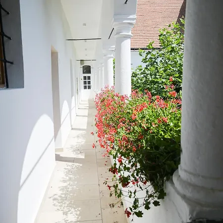 Apartment Wetzlerov Dom